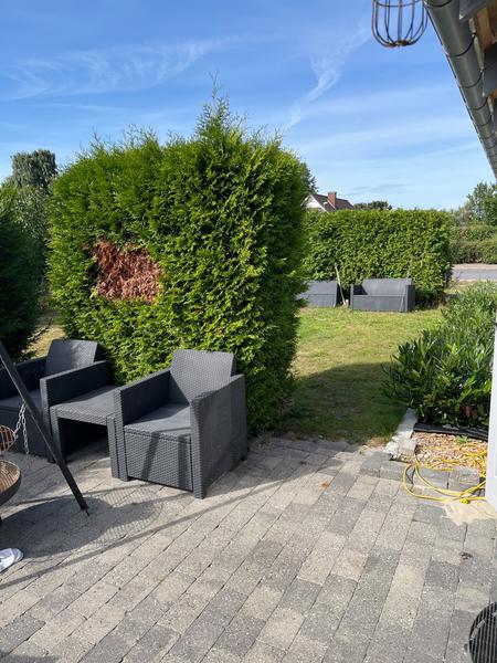 Anlæg af fliseterrasse