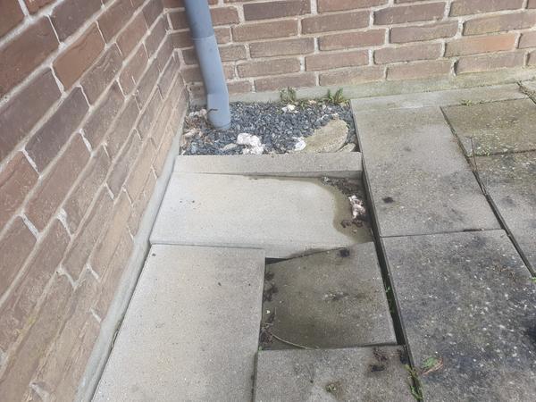 Udskiftning af regnvandsbrønd