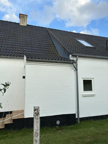 Maling af trægavl