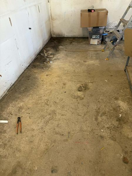 Tjek og udbedring af fugt