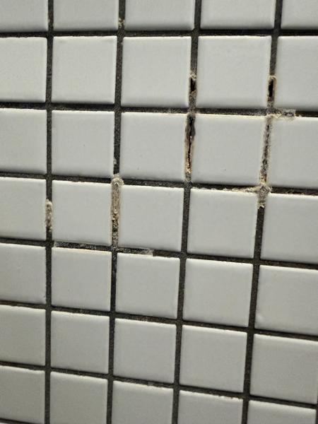 Fugning af mosaikfliser i badeværelse (3 kvm)