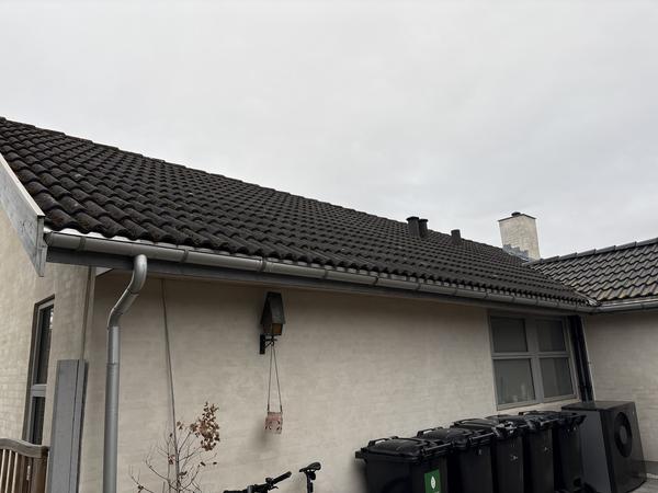 Etablering af solceller