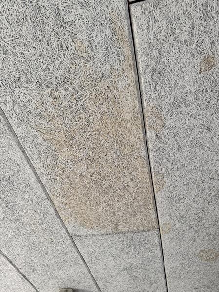 Vandskade i garage (trægulv og loft)