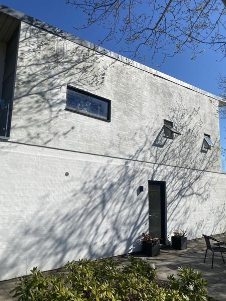 Algeafrensning og maling af facade