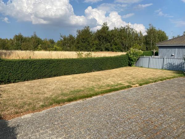 Etablering af petanque bane