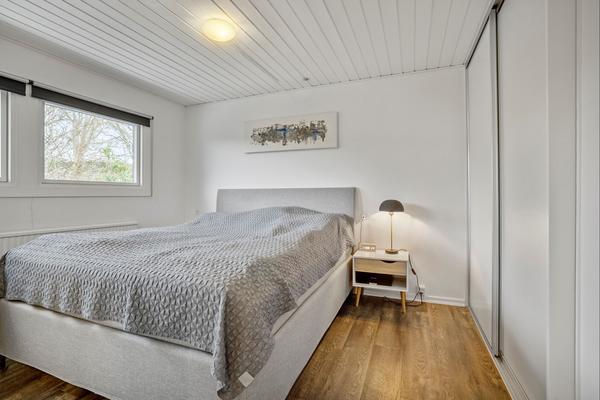 Maling af vægge og lofter
