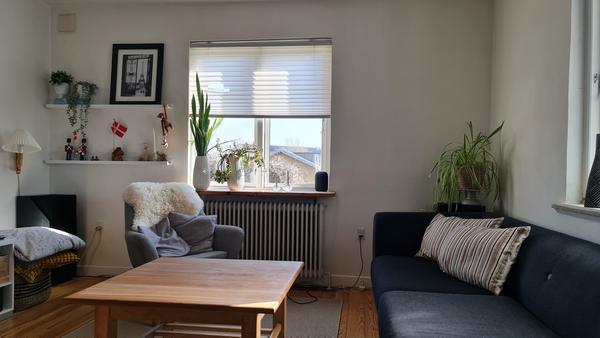Etablering af gulv til loft vindue m.m