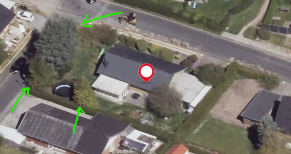 Beskæring af høje træer