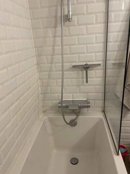 Etablering af bruseniche