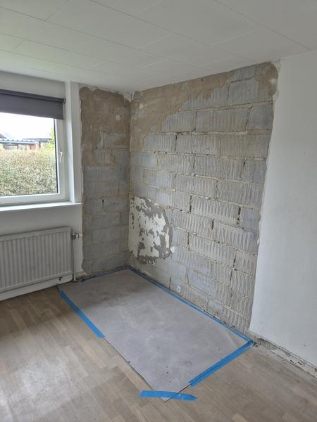 Reetablering efter skimmelsanering