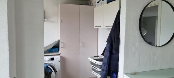 Maling af vægge