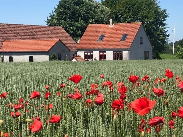 Hulmursisolering af stuehus og staldbygning