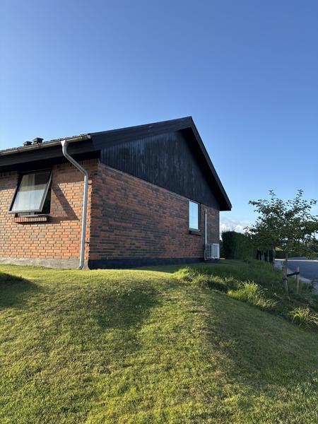 Udskiftning af gavle og udhæng