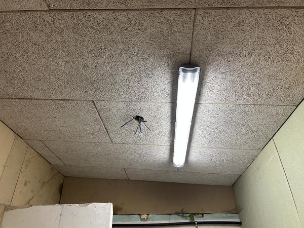 Færdiggørelse af elinstallation i garage