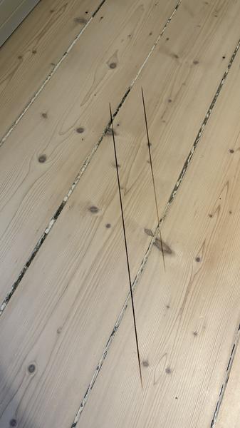 Udskiftning eller reparation af trægulv