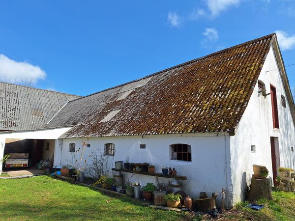 Rensning og maling af asbesttag