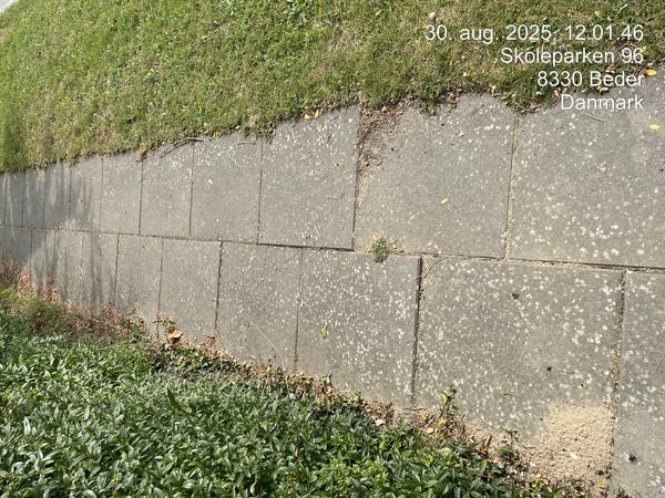 Opretning af flisebelægning langs stikveje