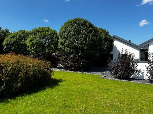 Beskæring af træer m.m.