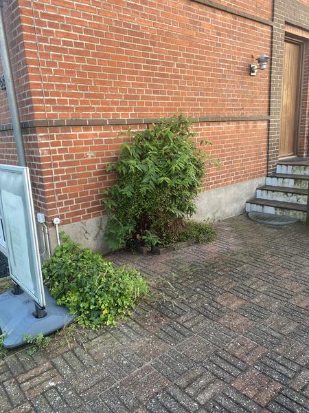 Etablering af omfangsdræn