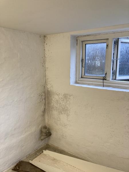 Skimmelsanering i kælderrum