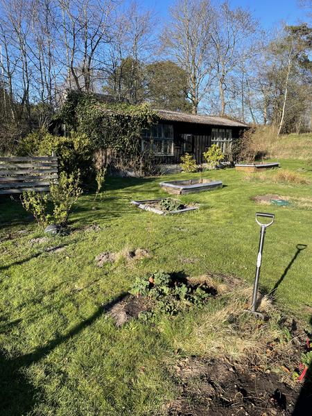 Udskiftning af asbesttag