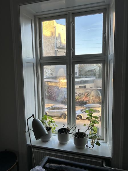 Udskiftning af punkterede ruder