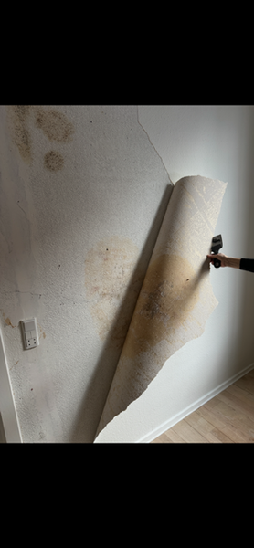 Lækagesporing af rør i væg ved badeværelse