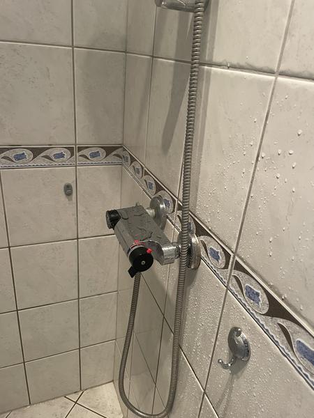 Udskiftning af brusearmatur og vandhane