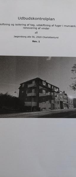 Udkradsning og udfugning af facade